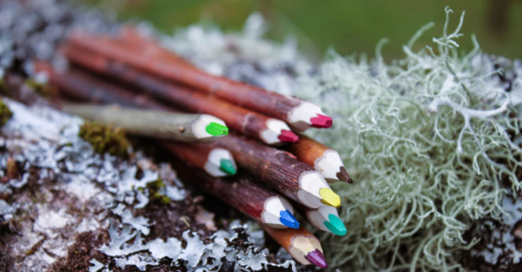 Illustration de l'article Made in Landes : Des crayons venus des arbres