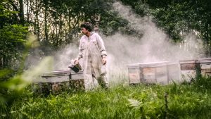 Les Ruchers du Born Lénaïc Lecrenais apiculture