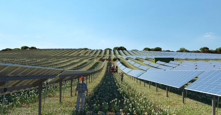 Illustration de l'article Terr’Arbouts : cultivateurs d’énergie