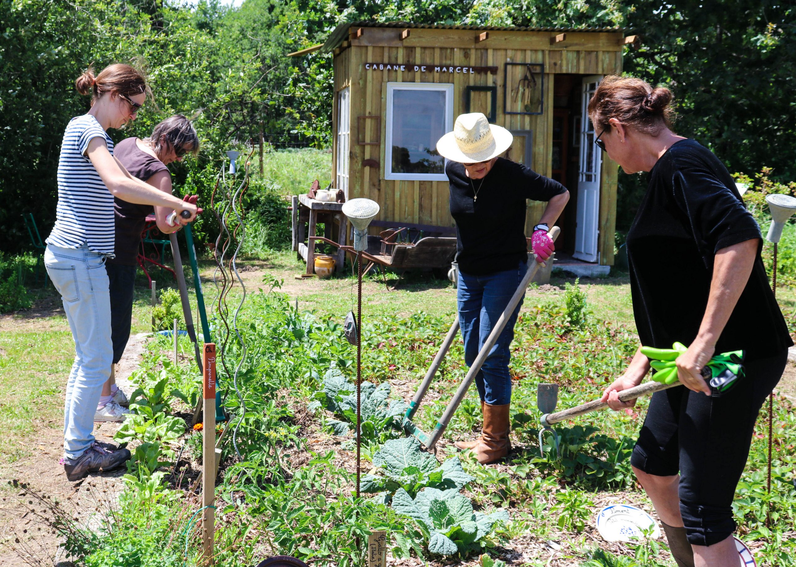 formation permaculture, jardins