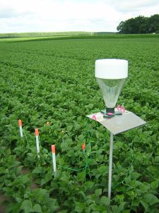 Les appareils de mesure sont installés sur tous les types de cultures, comme ici sur des haricots verts agriculteurs