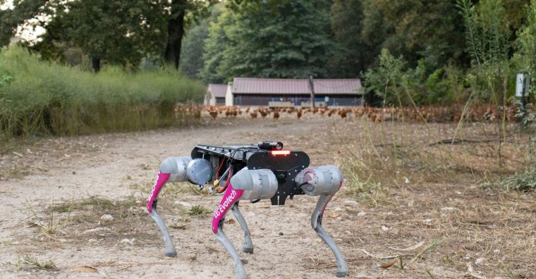 Illustration de l'article Innovation – Le futur meilleur ami des éleveurs