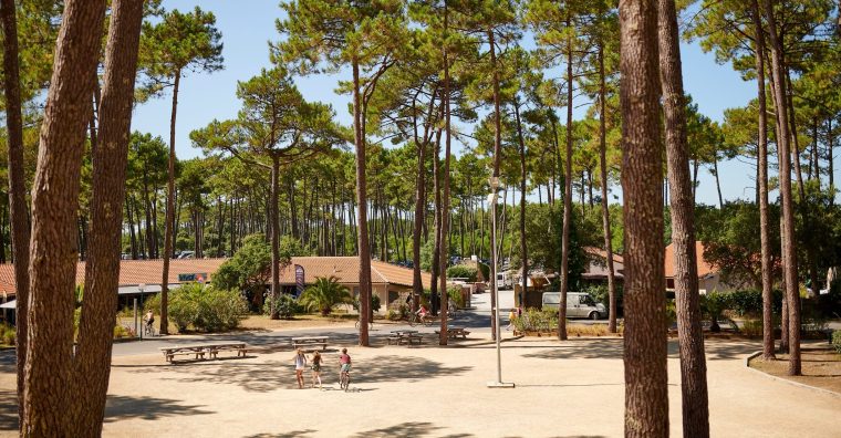 Illustration de l'article Siblu : le camping résidence secondaire