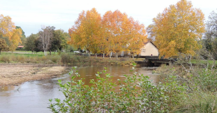 Illustration de l'article Nature – L’étang des forges de Brocas sur le podium du Prix du patrimoine aquitain