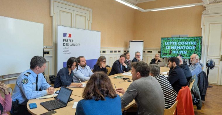 Illustration de l'article Nématode du pin à Seignosse : « coupe sanitaire » totale des résineux dans un rayon de 500 mètres autour du foyer