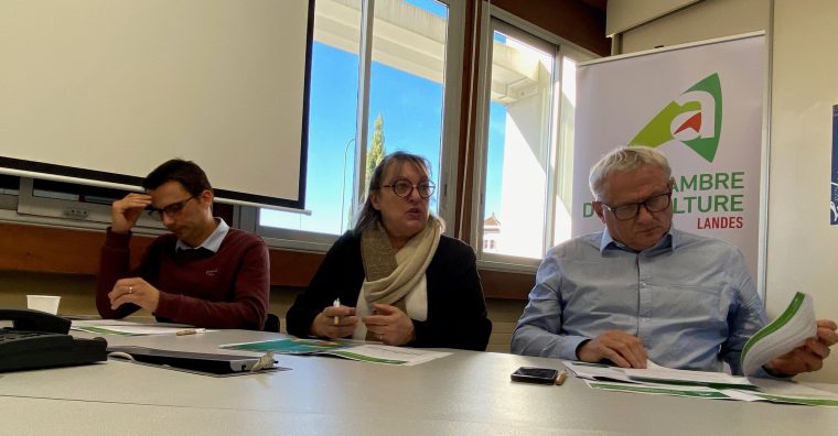 Illustration de l'article Agriculture landaise – Un secteur sous tension face aux crises multiples