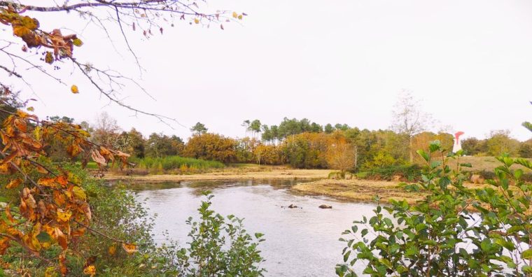Illustration de l'article La Fondation du Patrimoine lance son premier Prix du patrimoine aquitain décerné par le grand public