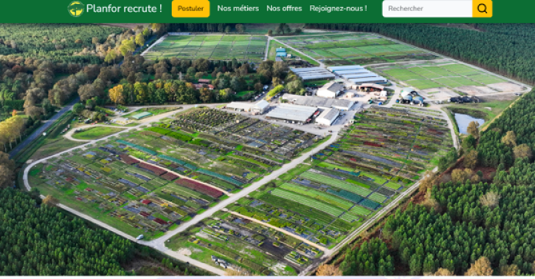 Illustration de l'article Ressources humaines – Planfor lance son site de recrutement en ligne