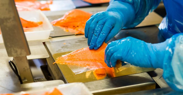 Illustration de l'article Aqualande confirme sa place de leader en truite fumée avec Ovive