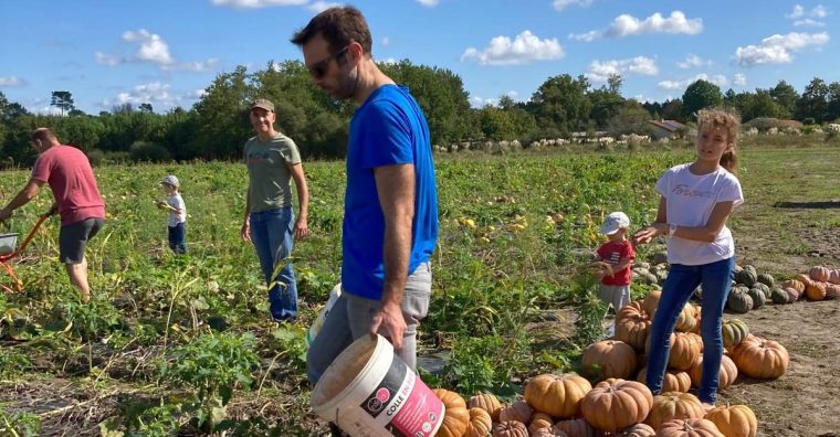 Illustration de l'article Amap de Labenne-Capbreton-Ondres : au-delà du panier, un engagement citoyen