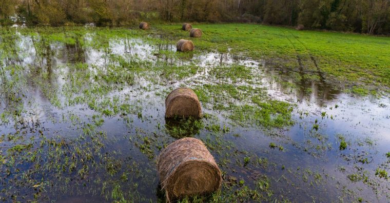Illustration de l'article Solidarité – Tempête Nils : calamités agricoles et indemnités