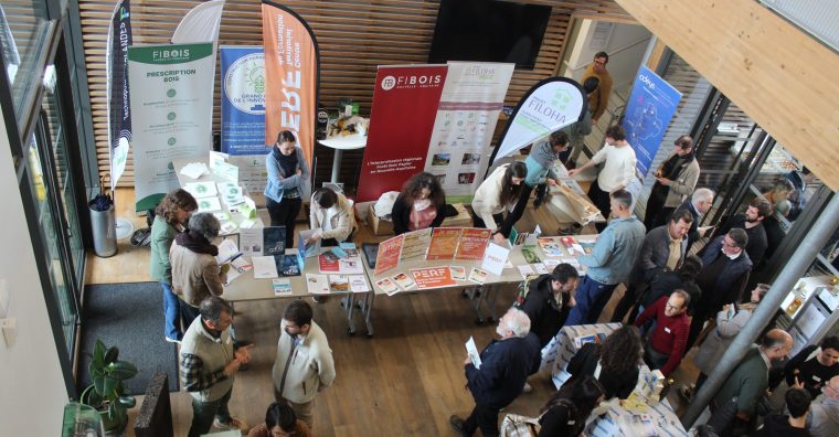 Illustration de l'article Construction – Les atouts du bois local 