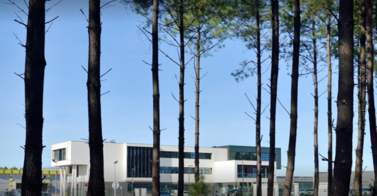 Illustration de l'article Responsabilité sociétale des entreprises – Action Pin récompensée aux Trophées Inoha