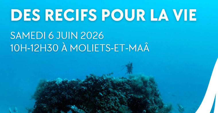 Illustration de l'article Environnement – Atlantique Landes Récifs, 30 ans d&rsquo;engagement en faveur de la biodiversité marine fêtés le 6 juin