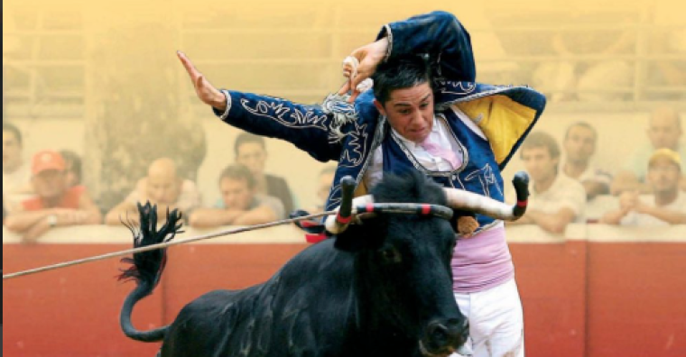 Illustration de l'article Course landaise – les Archives ouvrent un fonds inédit au public