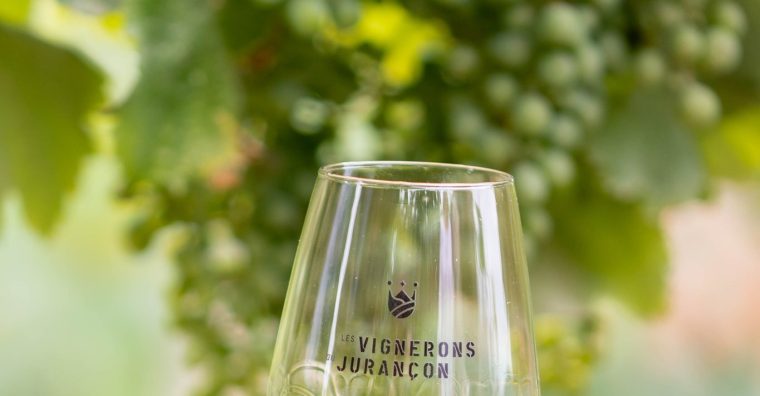 Illustration de l'article Les vignerons en action