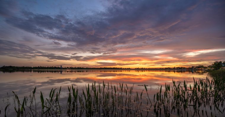 Illustration de l'article Agglomération de Mont-de-Marsan – Reprise de l’inventaire des zones humides