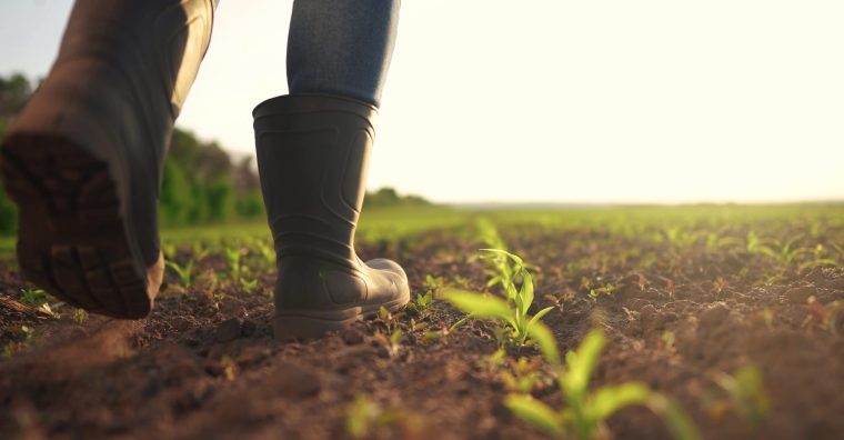 Illustration de l'article Région – Plus d&rsquo;un agriculteur sur deux sous le Smic (Observatoire de la rémunération agricole équitable)
