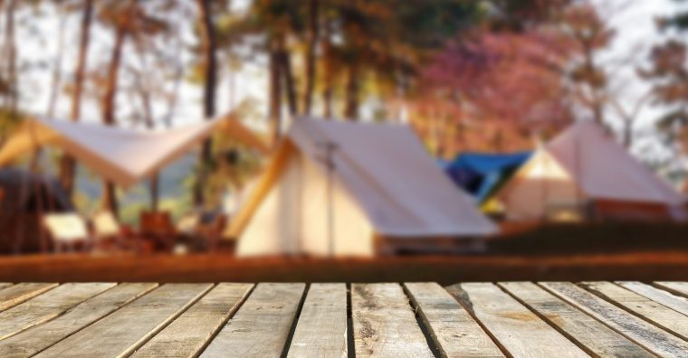 Illustration de l'article Rencontres Qualité tourisme – Quatre nouveaux hébergements labellisés Clef verte et trois autres Ecolabel européen dans les Landes
