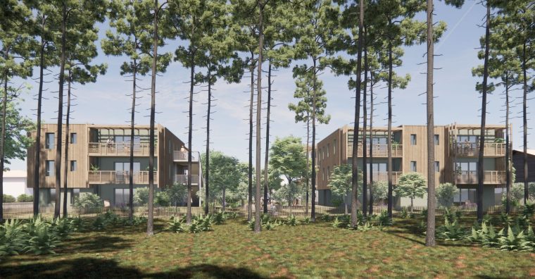 Illustration de l'article Filoha : logements sociaux écoconstruits