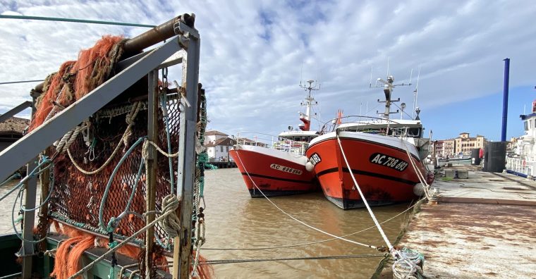 Illustration de l'article Golfe de Gascogne – Un nouvel arrêt de la pêche en 2027