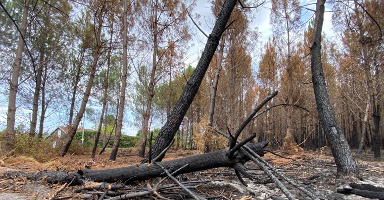 Illustration de l'article Région — Incendies — Les assureurs s’engagent