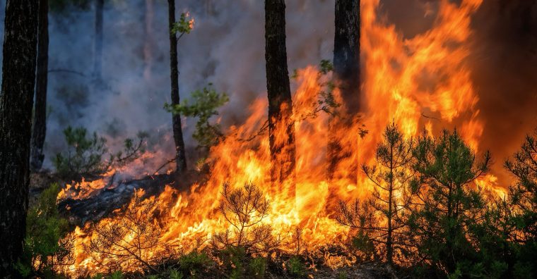 Illustration de l'article Incendies – 500 pompiers, neufs moyens aériens dont le bombardier d&rsquo;eau australien Chinook mobilisés à Luglon