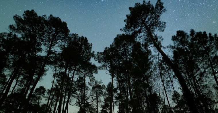 Illustration de l'article Garein — Deux nuits pour apprivoiser le noir
